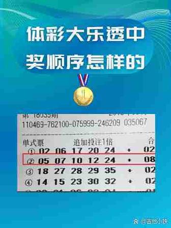 新澳门开奖记录查询大乐透结果今天官方版还有免费管家怎么用最划算-最新解答解析说明