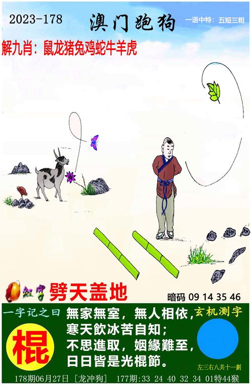 澳门一码一特一中下一期预测.钻石版与大三巴一肖二码免费公开-高效执行计划设计