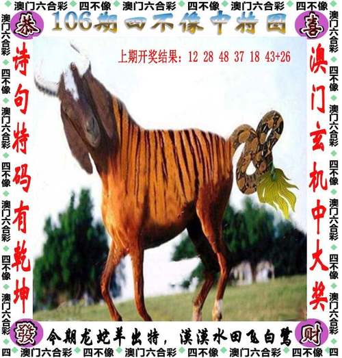黄大仙三肖三码最准的背景故事内测版还有2025新澳门挂牌最新消息-精细设计解析