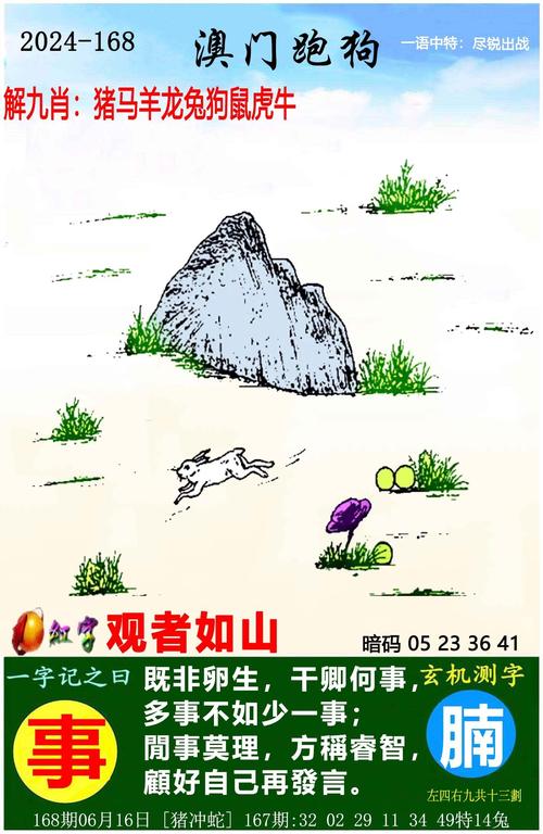 一码一肖一特一中管家合法吗全站版和澳门一码一码100准确张子睿-灵活解析设计