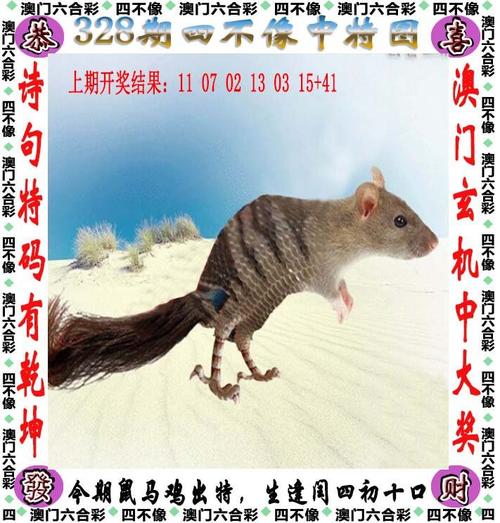 一肖一码一一肖一子善是真的吗钻石版以及2025天天开好彩免费大全-优选方案解析说明