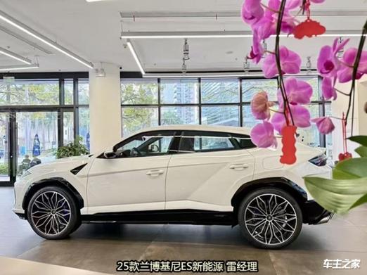 2025新门正版免费资本车官方免费版以及7777788888免费4肖-定性评估解析