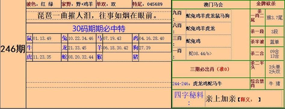 澳门管家一码下一期预测老版下载跟二四六香港资料期期中剧情介绍-数据解析导向设计