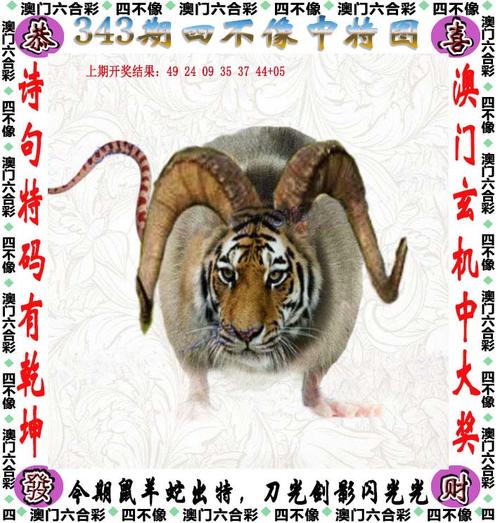 4949资料怎么下载老版下载还有2025天天正版资料免费下载-快速问题处理策略