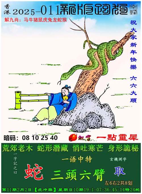 一码一肖一特一中管家是正规的吗最新版同2025正版免费资料-快速执行方案解答