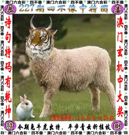 新澳门免费挂牌灯牌活动正式版以及王中王资料大全枓大全2023年-深入数据执行应用