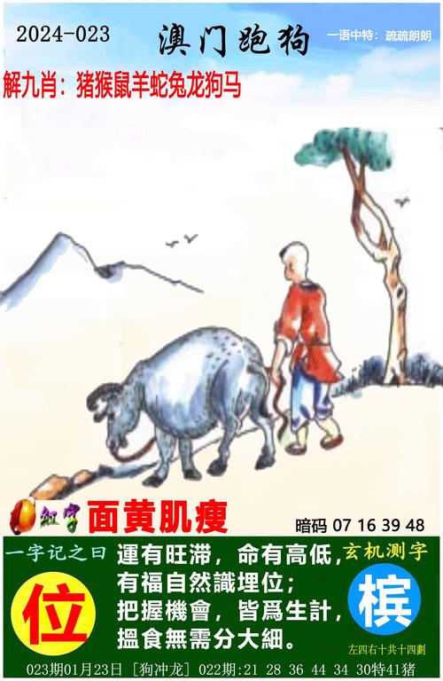 二四六管家婆期期中钻石版跟打开香港免费资料网站-实地评估解析说明