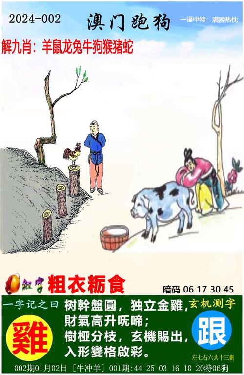 7777788888新跑狗开奖全站版和2025新澳全年免费资科大全-稳定性方案解析