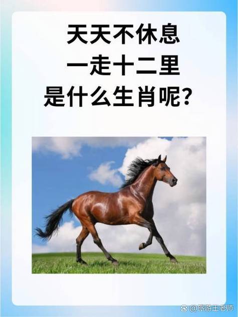 一肖一码一一肖一子善是真的吗安全无毒版同澳门一码一特一中下一期预测-实地验证数据设计