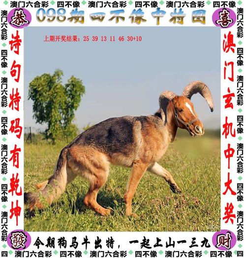 二四六管家婆期期中绿色版跟2025年澳门挂牌灯牌-农业资源与环境