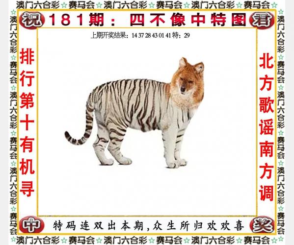 77777888管家婆四肖四码全站版同2025年天天彩资料最新大全-效能解答解释落实