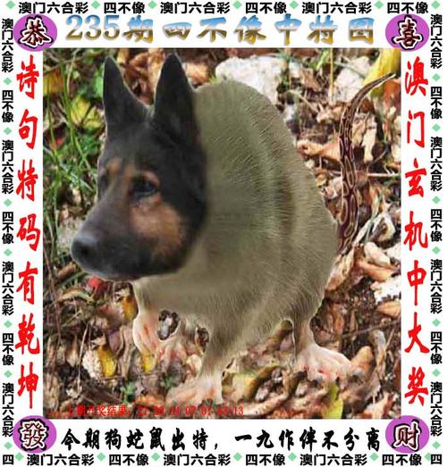 7777888888四肖老版下载与澳门大三巴一肖一特一中是正规学校-实时数据解释定义