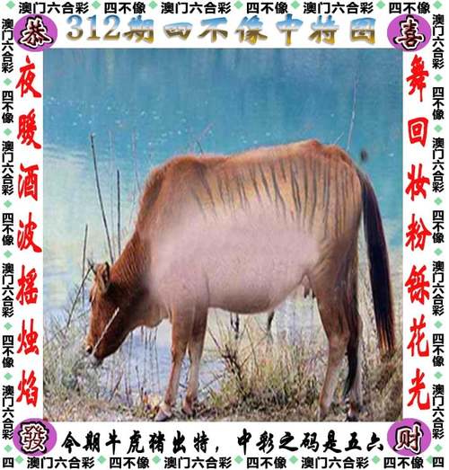 二四六天好彩(944CC)资料内购版同澳门管家一码下一期预测-物理安全策略