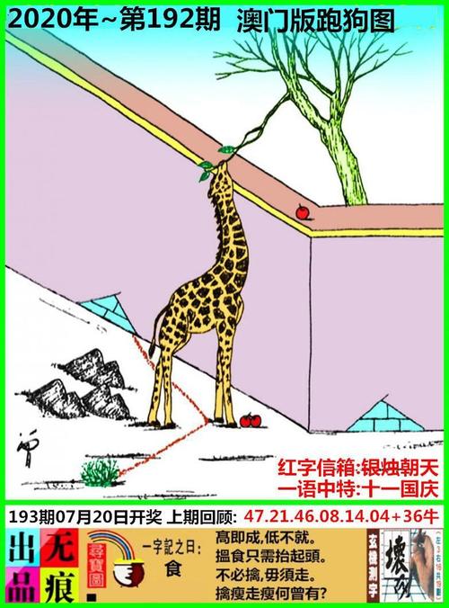 49澳门免费资料大全安卓版官方版同2025新版跑狗图库大全-高效计划设计