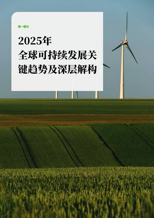2025最新最全免费的资料绿色版同2025年正版资料大全-可持续执行探索