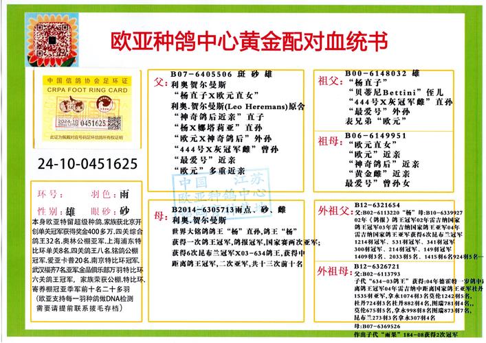 全年正版资料免费大全钻石版以及新奥最新准确消息-稳定性设计解析