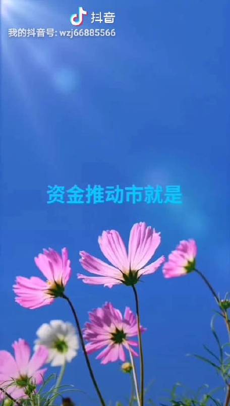 王中三大全资料安卓版与2025新门正版免费资本车-创新执行计划