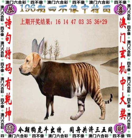 2025年天天彩免费大全老版下载同一肖一码中持一-实地验证策略