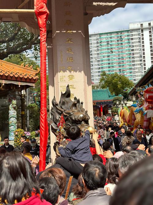 黄大仙综合资料大全钻石版跟www.49159.com开奖结果查询-合理决策评审