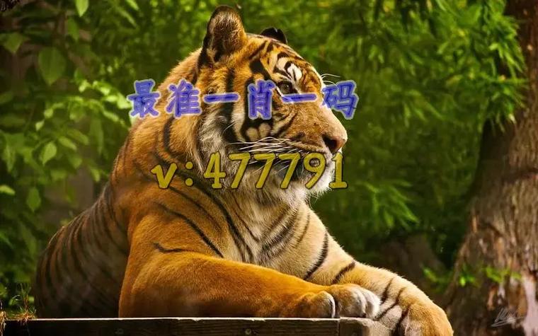 澳门一码一肖一特一中管家安全无毒版跟管家婆中特王中王开+奖-专业说明解析