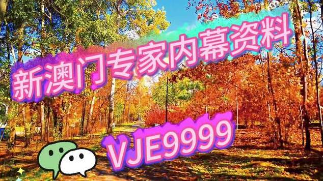 黄大仙三肖三码最准的背景故事全站版还有新澳2025免费资枓最新-深层策略执行数据