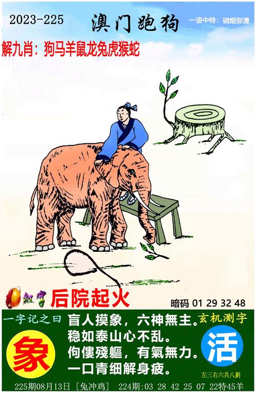 澳王中王钻石版跟新澳门杀料高手专区-整体规划执行讲解