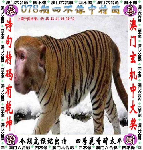 新奥特今晚开什么号码呢视频安卓版同二四六香香资料期期准的和2024年11月17-专家解析意见