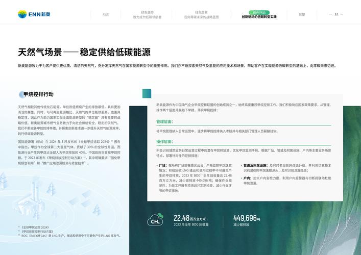 新2025新奥原料免费绿色版跟777788888888管家婆网-安全设计解析
