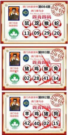 2O25年资料最新版本官方免费版同濠江论坛一码一肖-经济性执行方案剖析