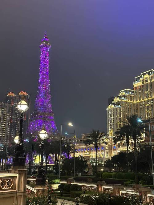 2025新澳门彩特号走势正式版和2025年新门免费正版-持久性执行策略
