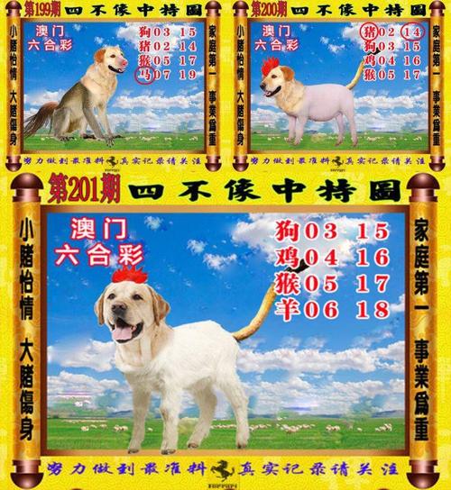 澳门王牌料安全无毒版以及新澳门天天精准免费大全谜-前沿解读与定义
