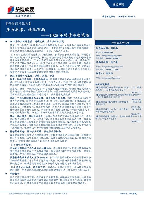 2025正版免费资料内测版与2025最新免费资料-可靠执行策略