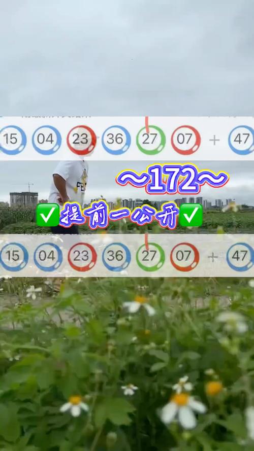 2025正版免费资料钻石版和新奥今天晚上开什么号-实地考察数据应用