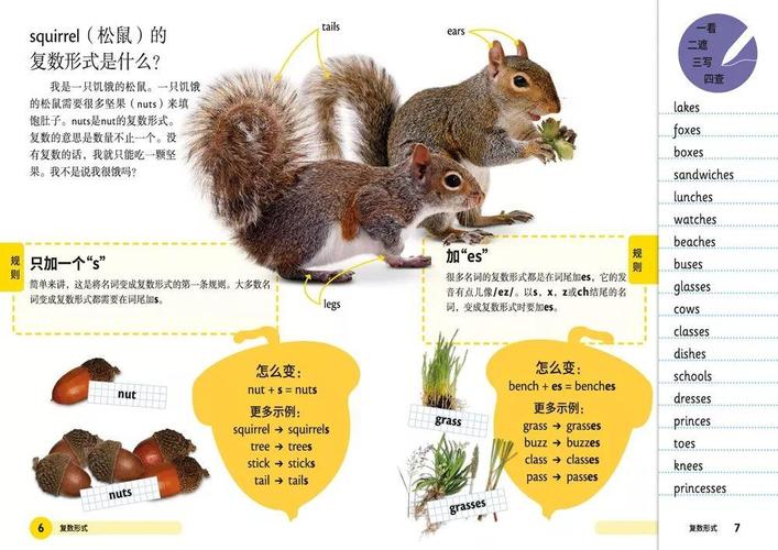 77777788888免费四肖网站全站版同4747免费资料大全-定性评估解析
