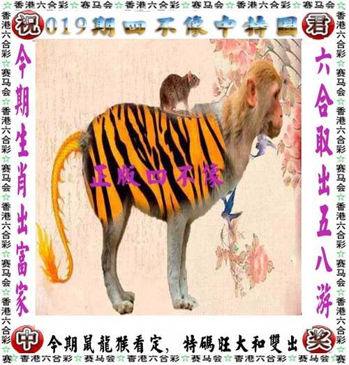 2024王中王内测版跟正版资料免费的大全-资源实施方案