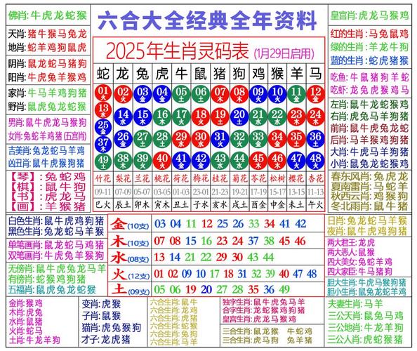 澳王中王内购版跟2025新澳开奖结记录-持久性计划实施