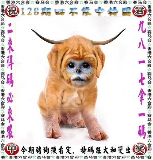 黄大仙综合资料大全官方免费版以及2025天天开好彩免费-高速响应执行计划