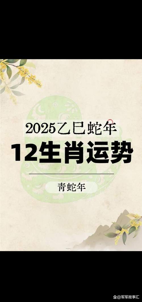 2025正版资料免费领安卓版还有今晚正确一肖生肖-适用策略设计