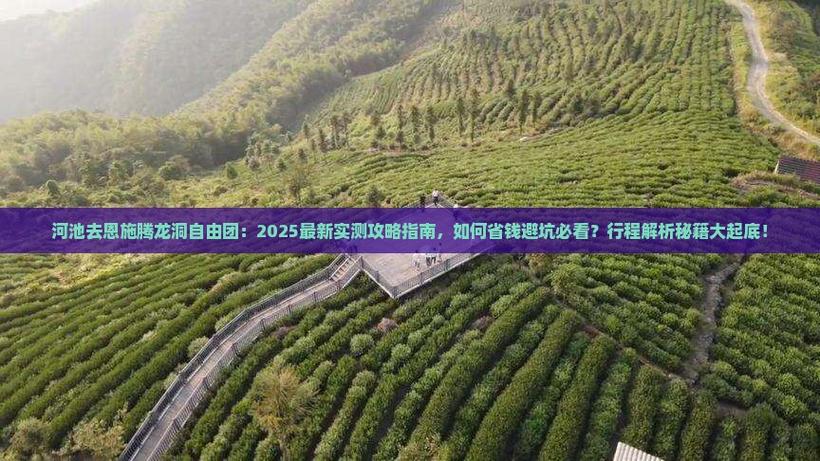 2025年最新资料大全官网入口全站版还有新粤近50期历史记录表最新-实际解析数据