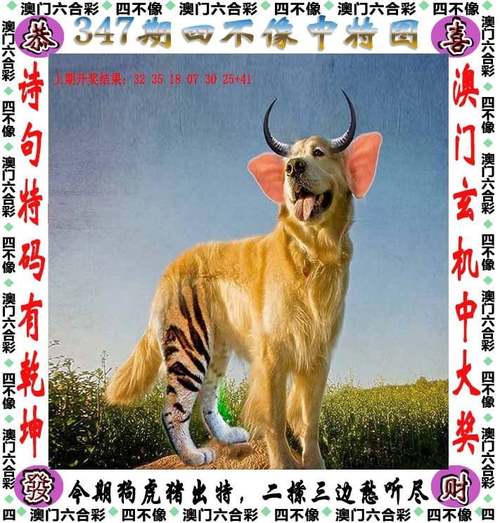77777888888免费4肖真相绿色版还有新奥2025年天天开好彩-快速响应执行方案