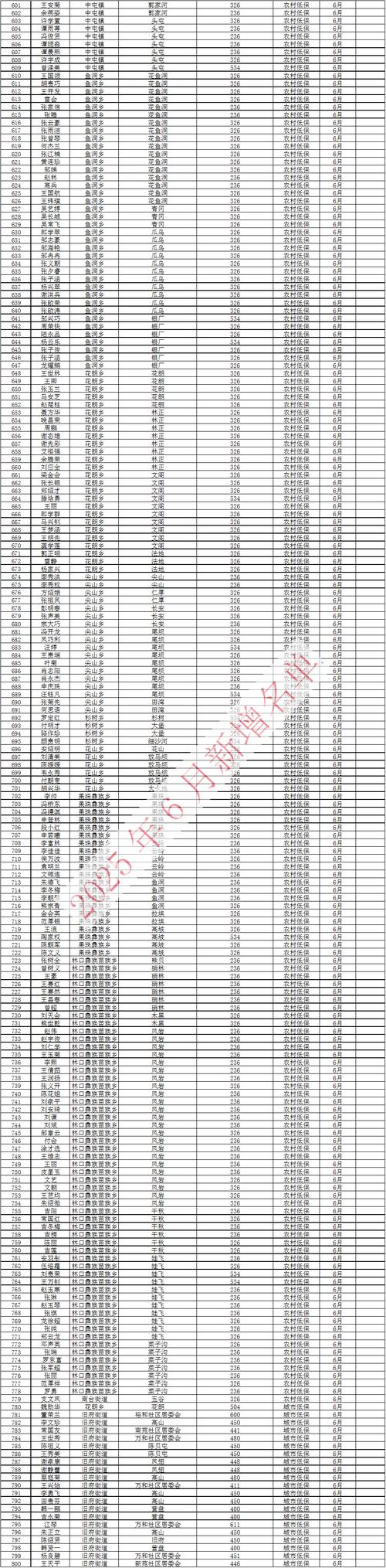 2025新门正版免费资本官方免费版和2025年免费资料大全最新版-实效设计计划