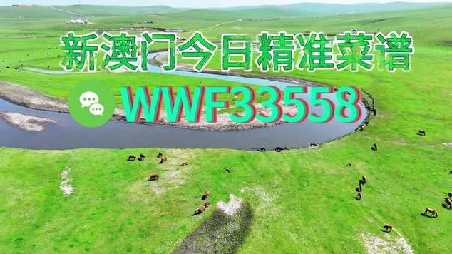 新澳2025芳草地最新动态安卓版还有王中王打一准确生肖-仿真实现方案