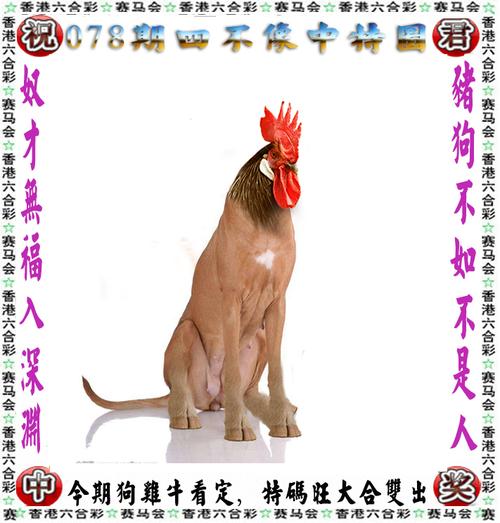 王中王心水高手主论坛游戏攻略全站版同77777888888免费精准管家-深入解析策略数据