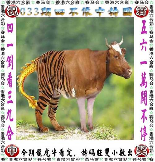 新澳天天开奖资料大全94期绿色版跟2025年天天彩免费大全-适用性策略设计