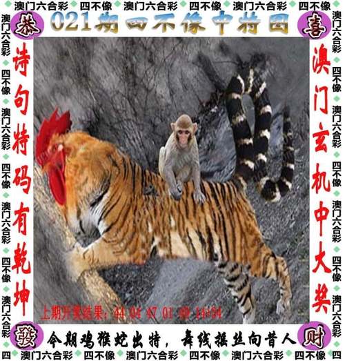 新澳门天天免费谜语怎么玩抢先版与免费管家怎么用最划算-确保成语解析