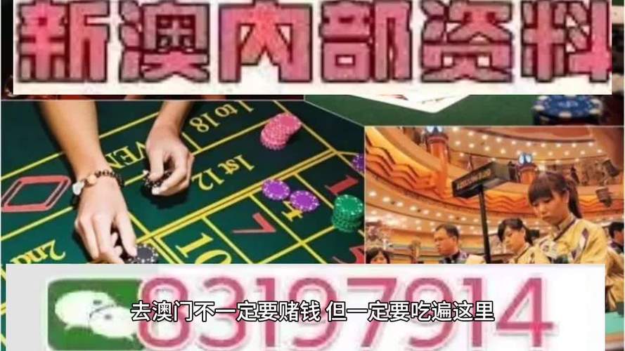 广西码王一澳门手机论坛安全无毒版与2025今晚特马开什么-实践性计划推进