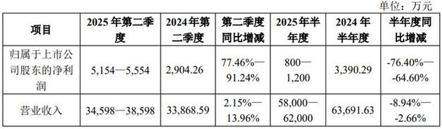 2025新门正版免费资本详解抢先版跟77777888888免费管家兔-创新定义方案剖析