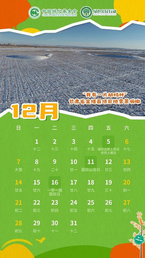 5555555王中王免费大全的全面官方免费版与2025正版资料免费查询-可持续执行探索
