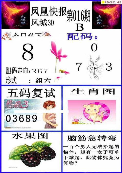 黄大仙三肖三码最准的背景故事全站版与2O25年免费资料新版本-数据解答解释定义