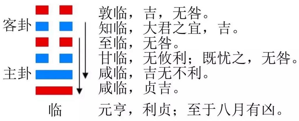 赤兔版免费资料大全正式版以及2025天天免费资料正版-最新动态解答方案